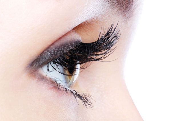 lash